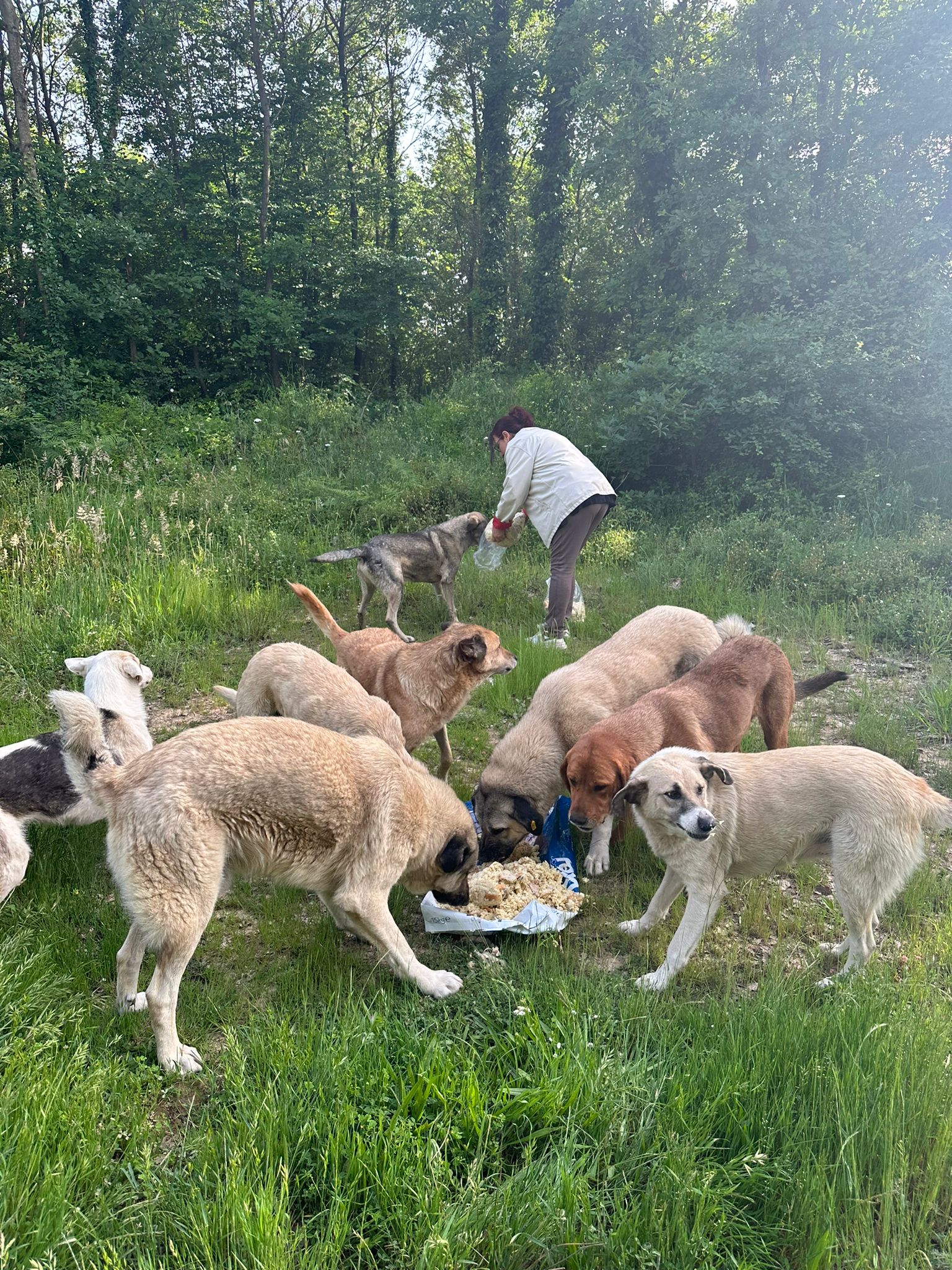 WhatsApp Image 2024 05 22 at 20.44.50