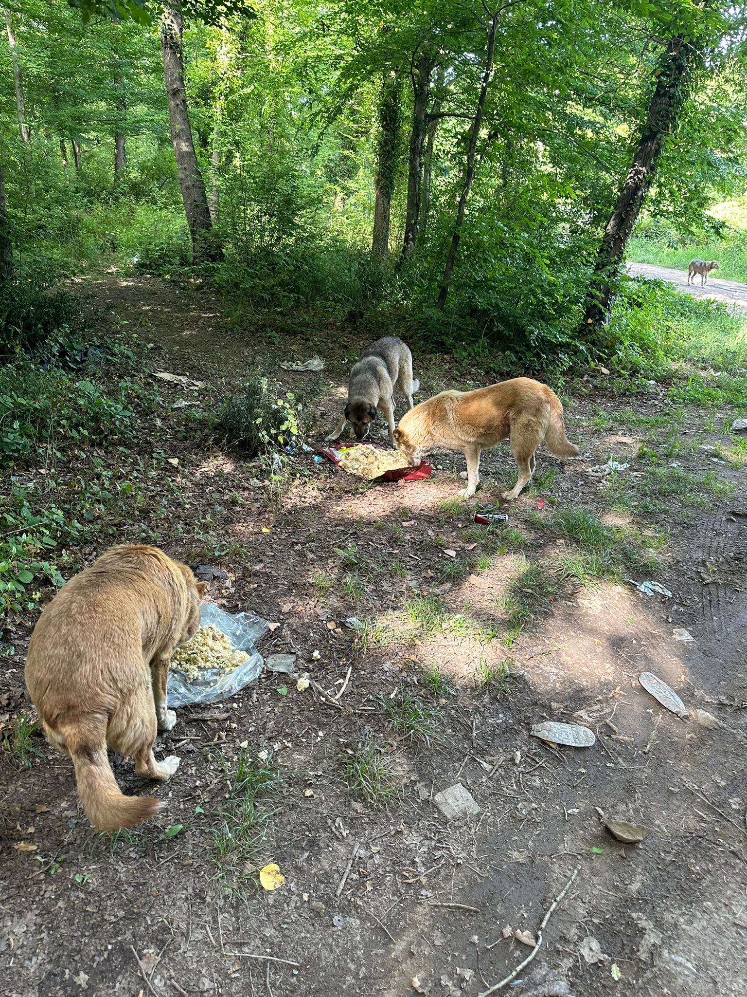 WhatsApp Image 2024 05 22 at 20.44.51