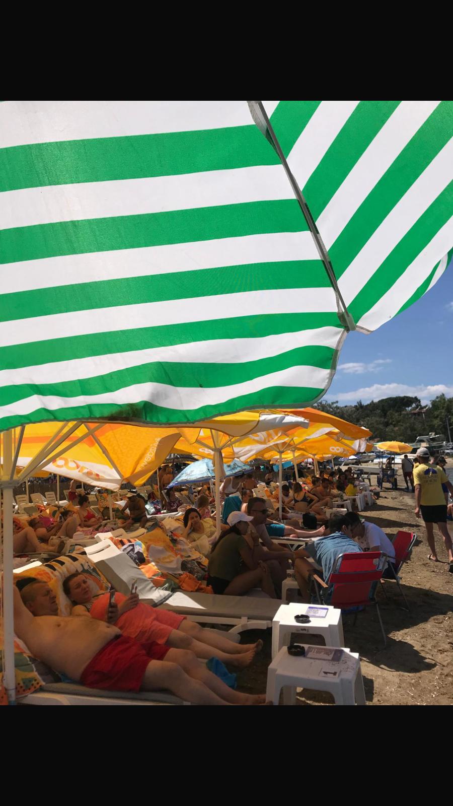 WhatsApp Image 2024 08 07 at 23.44.48